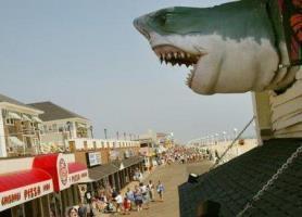 Hotel Best Western Ocean City & Suites Hotel Best Western Ocean City & Suites
